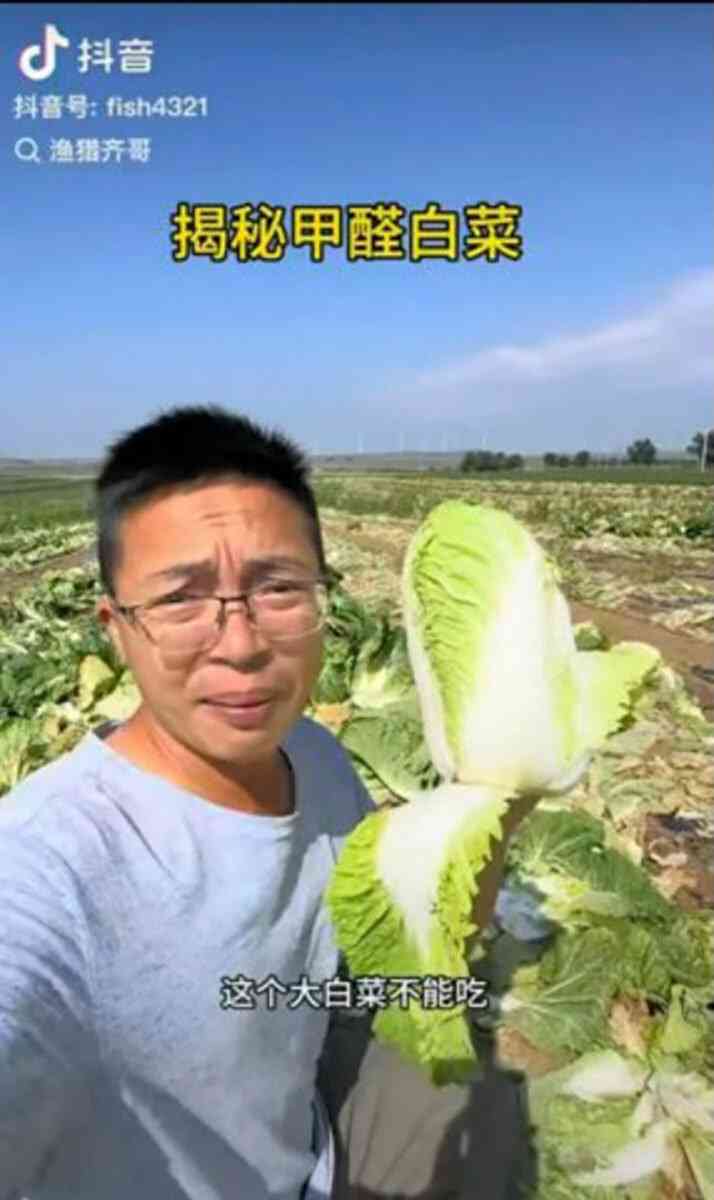 「白菜を土足で踏み、その上に吸い殻を…」　リスクが高い「中国産野菜」を使用する外食チェーンの実名を公開！　「取材拒否」を貫く企業も（デイリー新潮） - Yahoo!ニュース