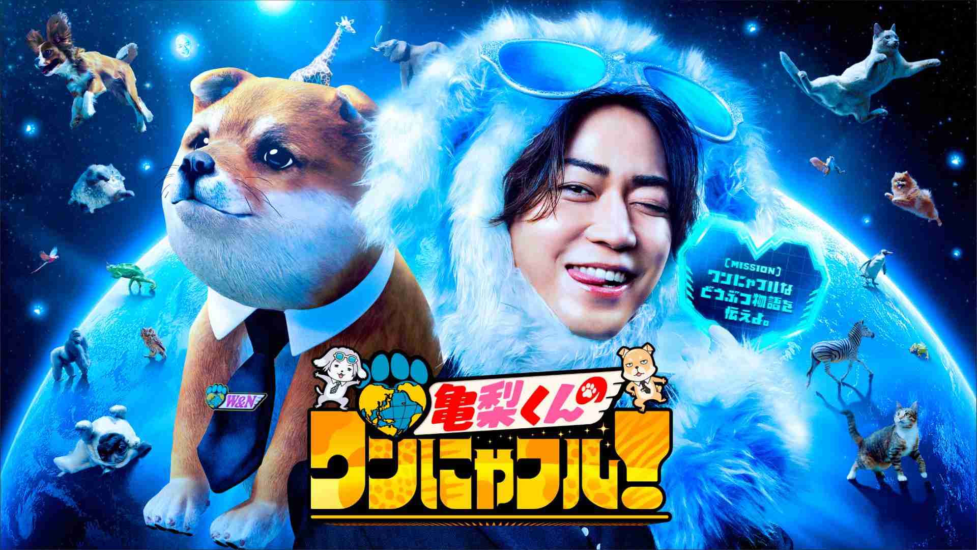 亀梨くんのワンにゃフル！ | テレ東・ＢＳテレ東 7ch(公式)