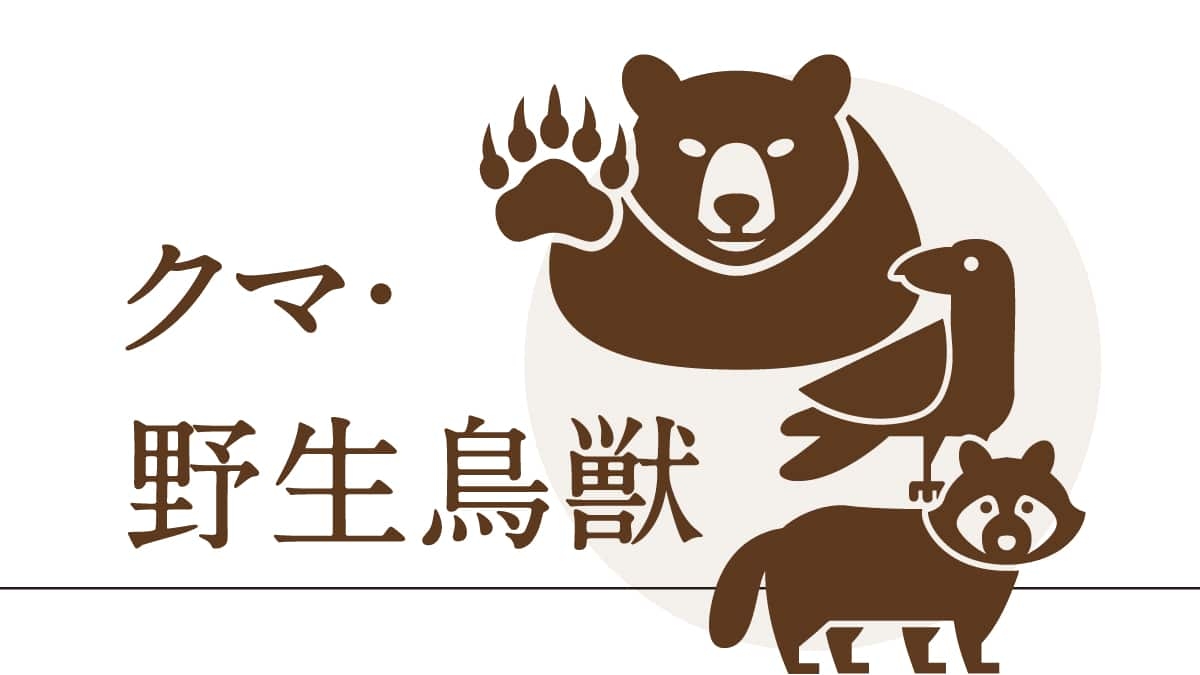 東京・八王子市でツキノワグマの緊急銃猟、都内で初　人的被害未然防止のため市長が承認 - 産経ニュース