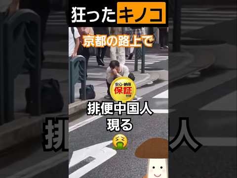 京都の路上で排便中国人現る?