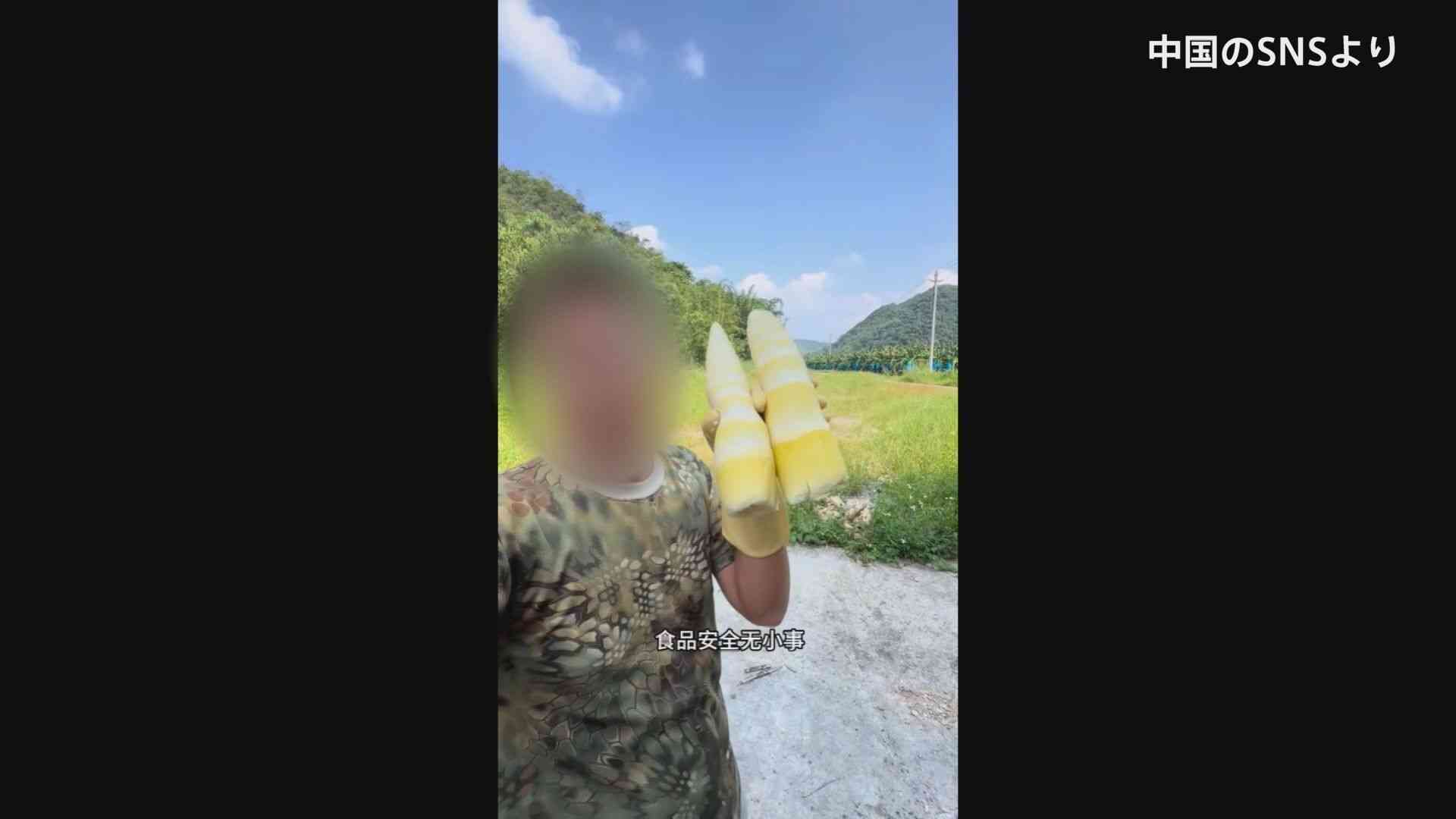 中国　今度は「タケノコ」で不正加工　硫黄の煙でいぶして出荷（TBS NEWS DIG Powered by JNN） - Yahoo!ニュース