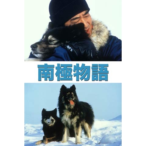 号泣したドラマ、映画