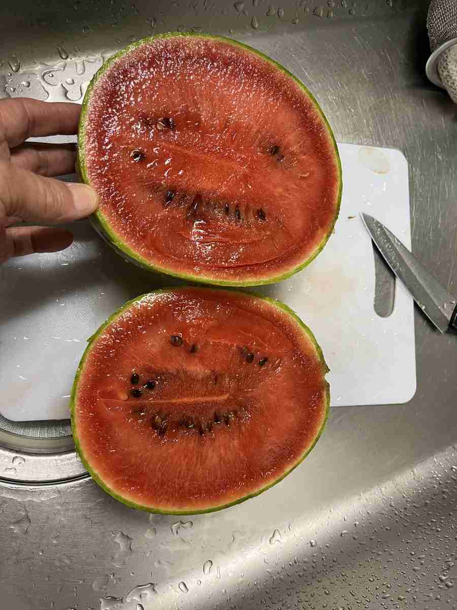 「豆腐みたい」と紹介…桐谷広人さん〝3個50円のスイカ〟に衝撃「いやいや腐ってますよ」「悪食が久しぶりに見れて満足​​​​​​​」