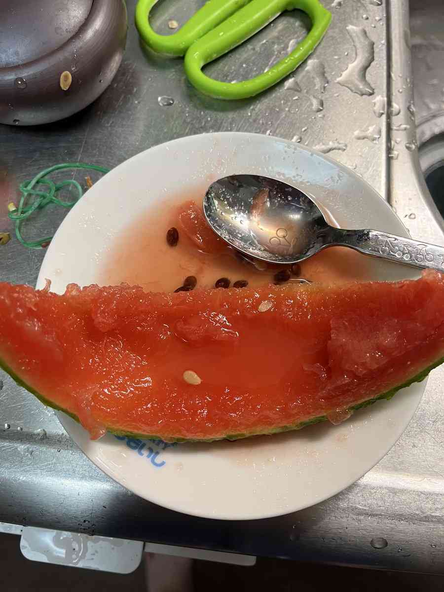 「豆腐みたい」と紹介…桐谷広人さん〝3個50円のスイカ〟に衝撃「いやいや腐ってますよ」「悪食が久しぶりに見れて満足​​​​​​​」