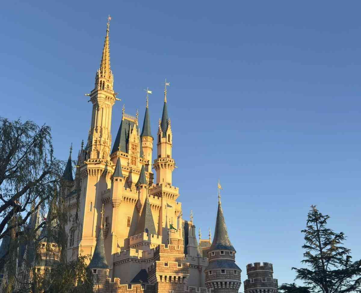 ディズニー「若者離れ」はウソ？10月に1万2,400円へ値上げでも…20年データが覆す定説 連載：テーマパーク経済学｜ビジネス+IT