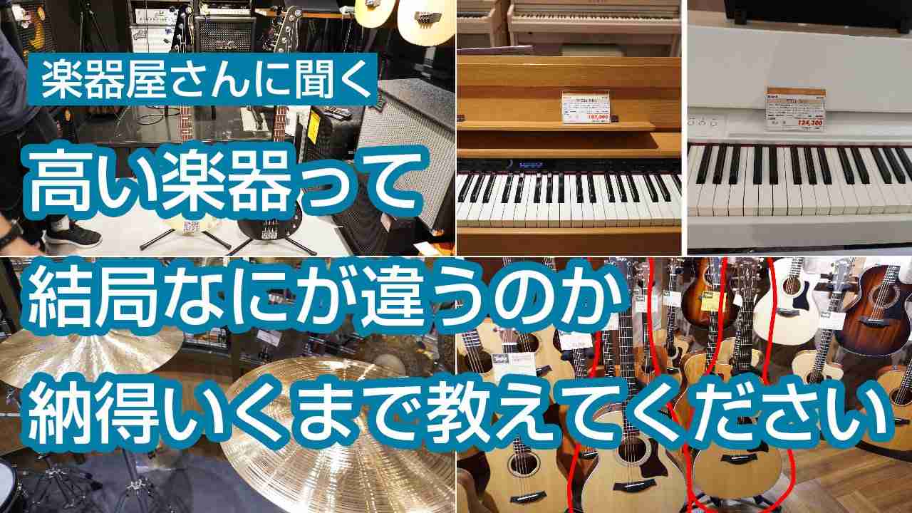 高い楽器って結局なにが違うのか、納得いくまで教えてください (1/4) :: デイリーポータルZ