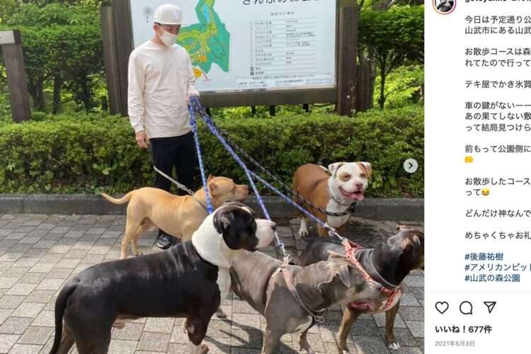 自宅から逃げた飼い犬『ウルフドッグ』散歩中の92歳女性にかみつき全治2か月以上の重傷負わせる…重過失傷害の疑いで67歳女を逮捕〈北海道奈井江町〉