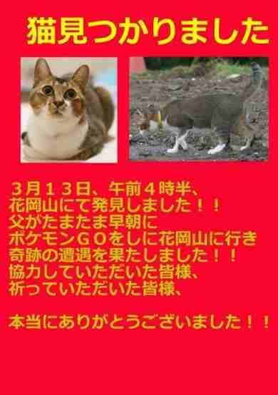 身内に失踪者がいる方part3