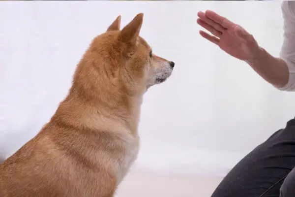 「ちょっと待つ」ができない人増えてませんか?