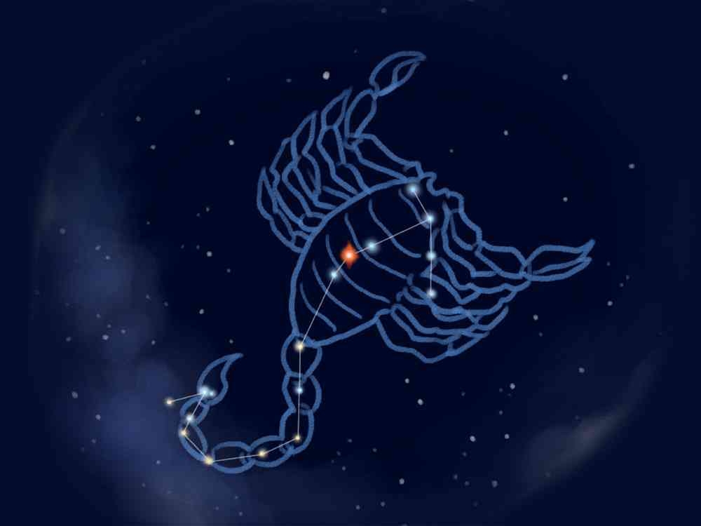 【全576通り】干支×星座×血液型の全てが同じ人を探すトピ Part13