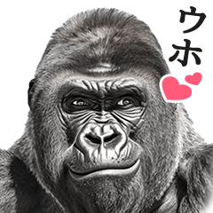 整形を疑われた