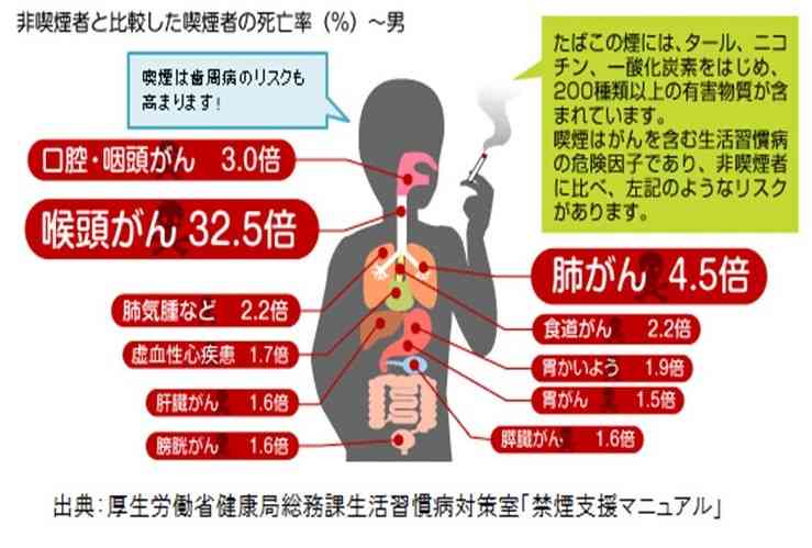 「自由が制限されているなって感じた」スイス人が不便を感じた日本のルール　「見つけるのが大変」と思った場所とは