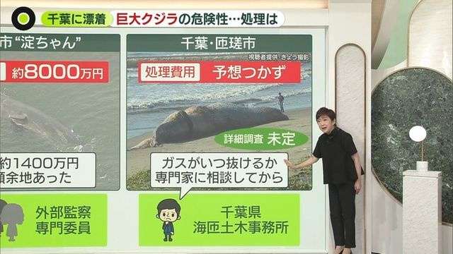 【解説】巨大クジラが千葉に漂着 “爆発”の危険性も 多額の費用が…自治体を悩ます「処理方法」とは