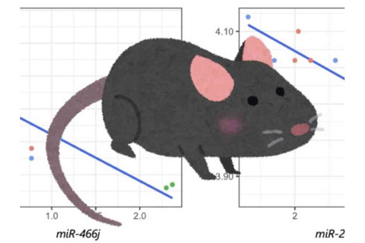 老化で精子の遺伝子制御が変化、子の神経発達障害リスクに 東北大 | TECH+（テックプラス）