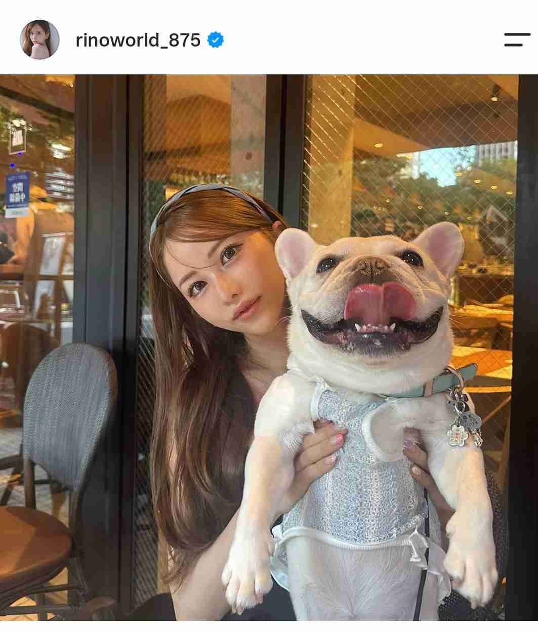 【獣医師が警鐘】愛犬と山登り、増える一方で事故も 「禁止されてないからOK」が危険な理由とは?