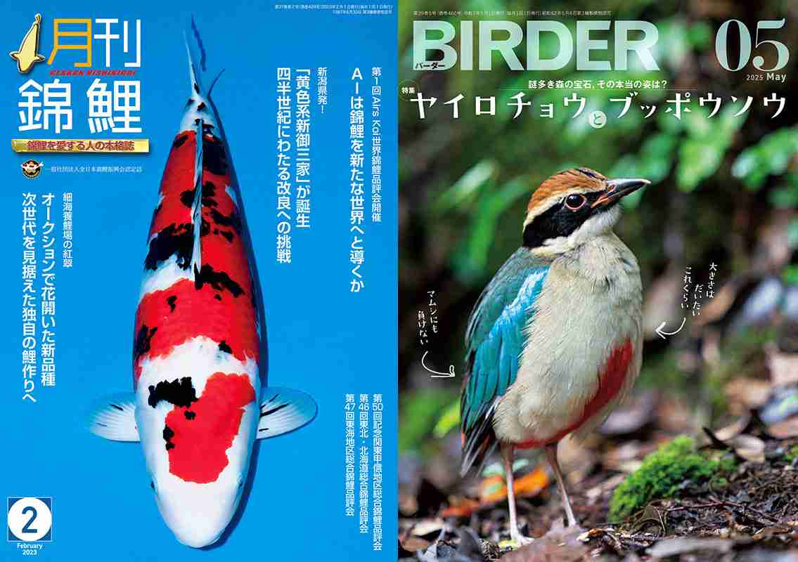 野鳥観察誌は“フェイク写真”混入を危惧…老舗専門誌の世界が直面する「AI革命」のリアル | Smart FLASH/スマフラ[光文社週刊誌]