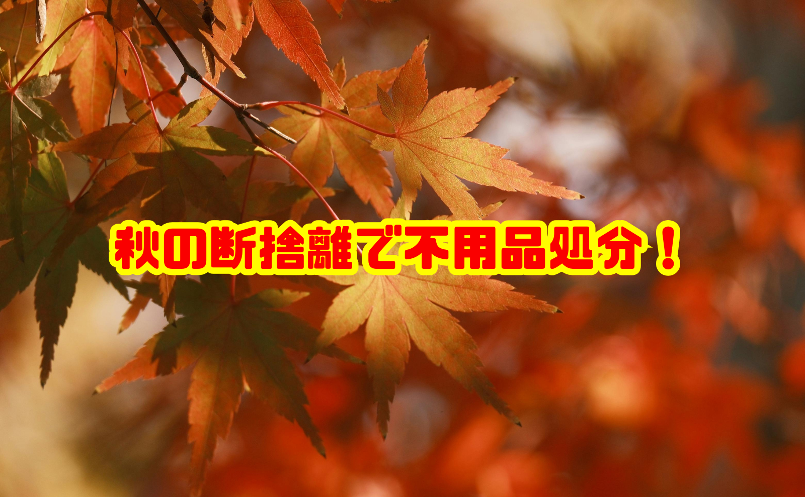 秋の断捨離で不用品処分！年末前に家をすっきり整える方法 | 片付け110番マガジン