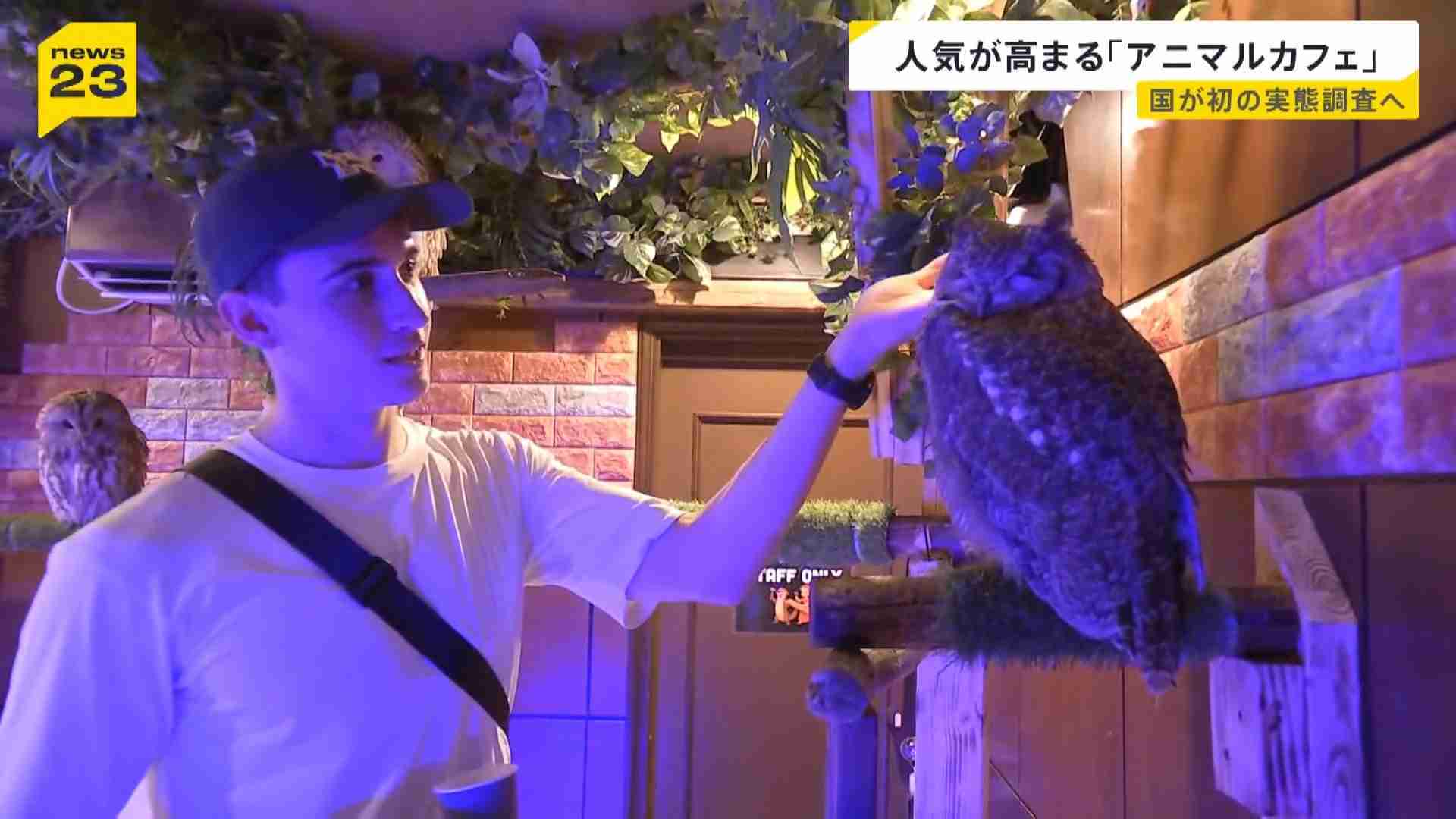 人気高まる「アニマルカフェ」に国が初めての実態調査へ “展示ルール”対応に差も…「動物福祉のリテラシーの向上を」