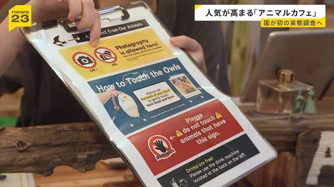 人気高まる「アニマルカフェ」に国が初めての実態調査へ “展示ルール”対応に差も…「動物福祉のリテラシーの向上を」