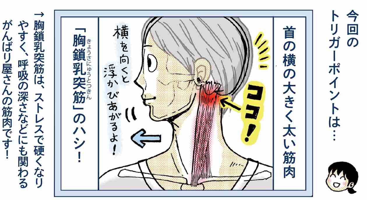 とにかく胸鎖乳突筋がゴリゴリ。
