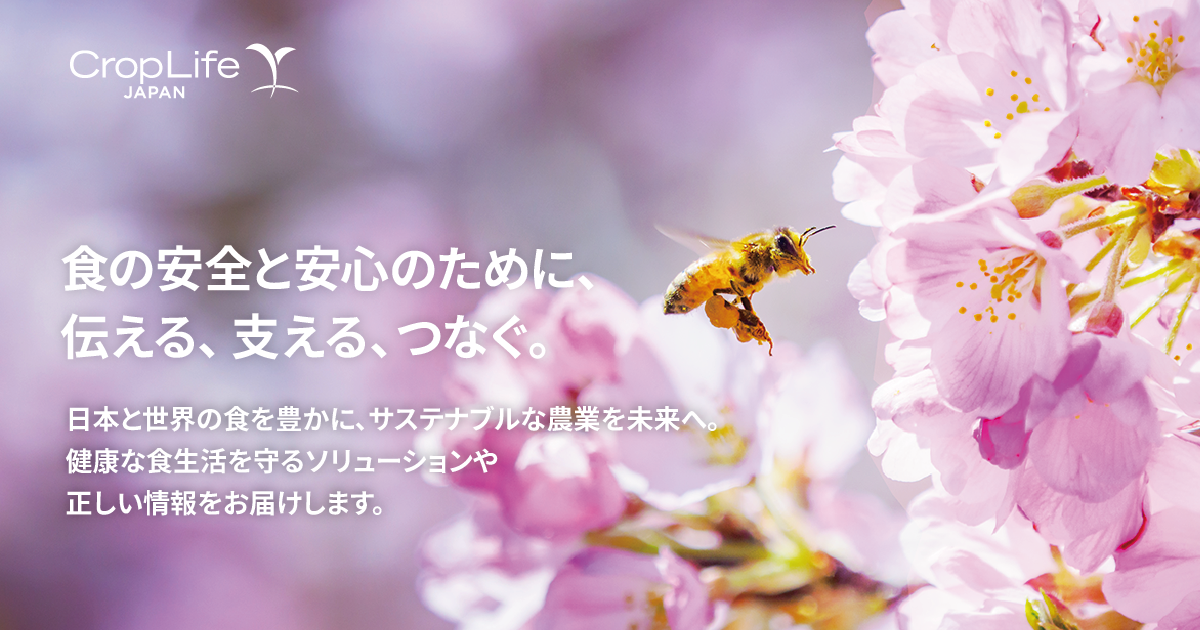 子供の発達障害の原因に一部の農薬がクローズアップされていますが発達障害などにつながる神経毒性に関する毒性試験は行われているのでしょうか。｜農薬は安全？｜教えて！農薬Q&A｜クロップライフジャパン