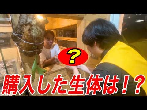 幻の生き物ショップでお客様第一号になってみた！！！