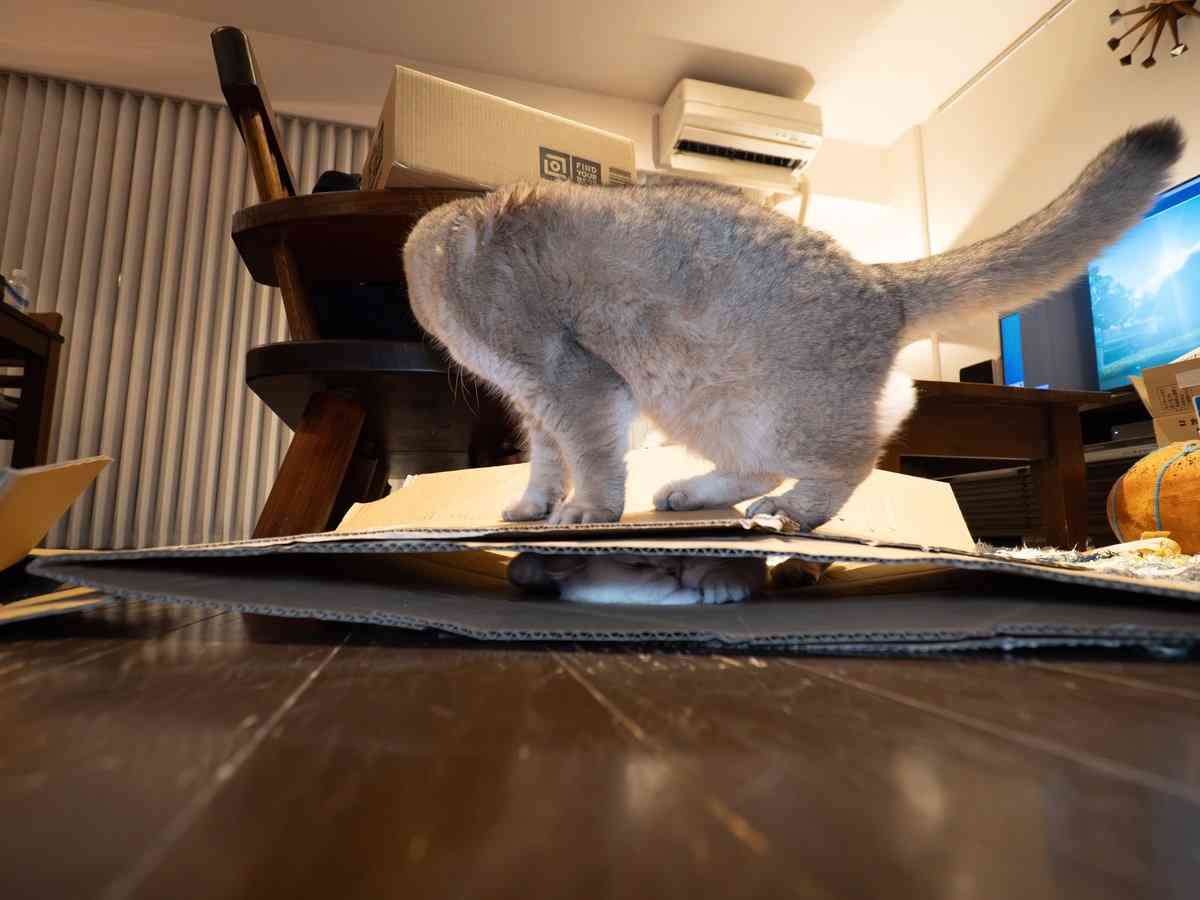 あなたのお気に入りの写真を見せてください