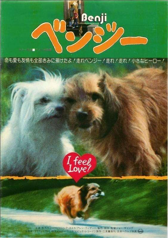 昔の洋画が好き