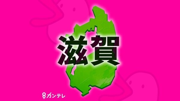 【速報】体長約２ｍのダチョウが逃走も確保　警察がパトカーで追いかけるもダチョウの足が速く逃げられ捜索続いていた中　滋賀・守山市｜FNNプライムオンライン