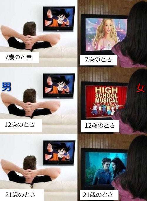 女性と違って男性は大人になっても自分と同性キャラばかりの作品に興味ある人が多い理由