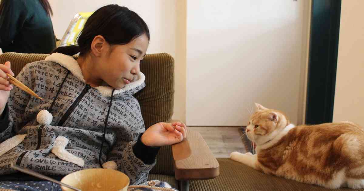 グレーゾーンの娘が小4夏休み明けに不登校。「学校に行かないのに、平日に遊んでいい？」母が気づいたこと（島沢 優子） | FRaU