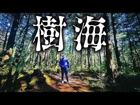 【秘境】富士の樹海に”ガチ”で行ってみた！1泊2日の旅