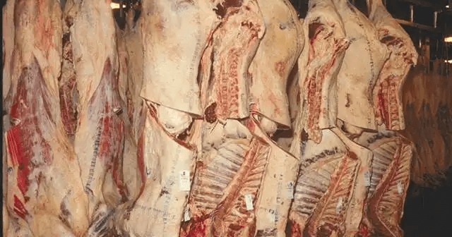 ブラジル産食肉、EUが輸入停止＝「国家の監視能力」を問題視＝影響額20億ドル規模に (ブラジル日報)