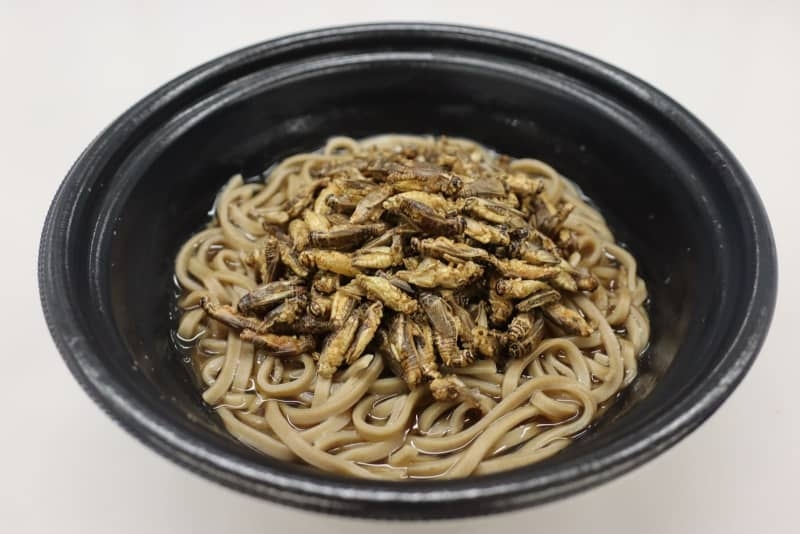 コオロギ100匹が隠れたカップ麺、なぜ作った？開発者に聞いてみた