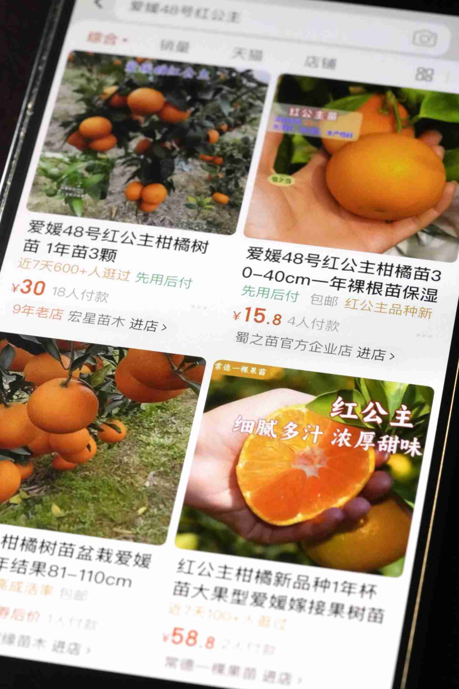 農作物50品種が流出可能性　中韓でネット販売か、農水省調査（共同通信） - Yahoo!ニュース