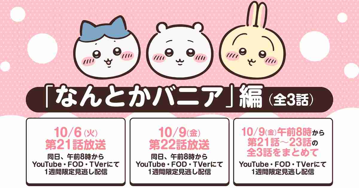 アニメ「ちいかわ」新作放送を一時休止しリバイバル放送へ、「なんとかバニア」編再び - コミックナタリー