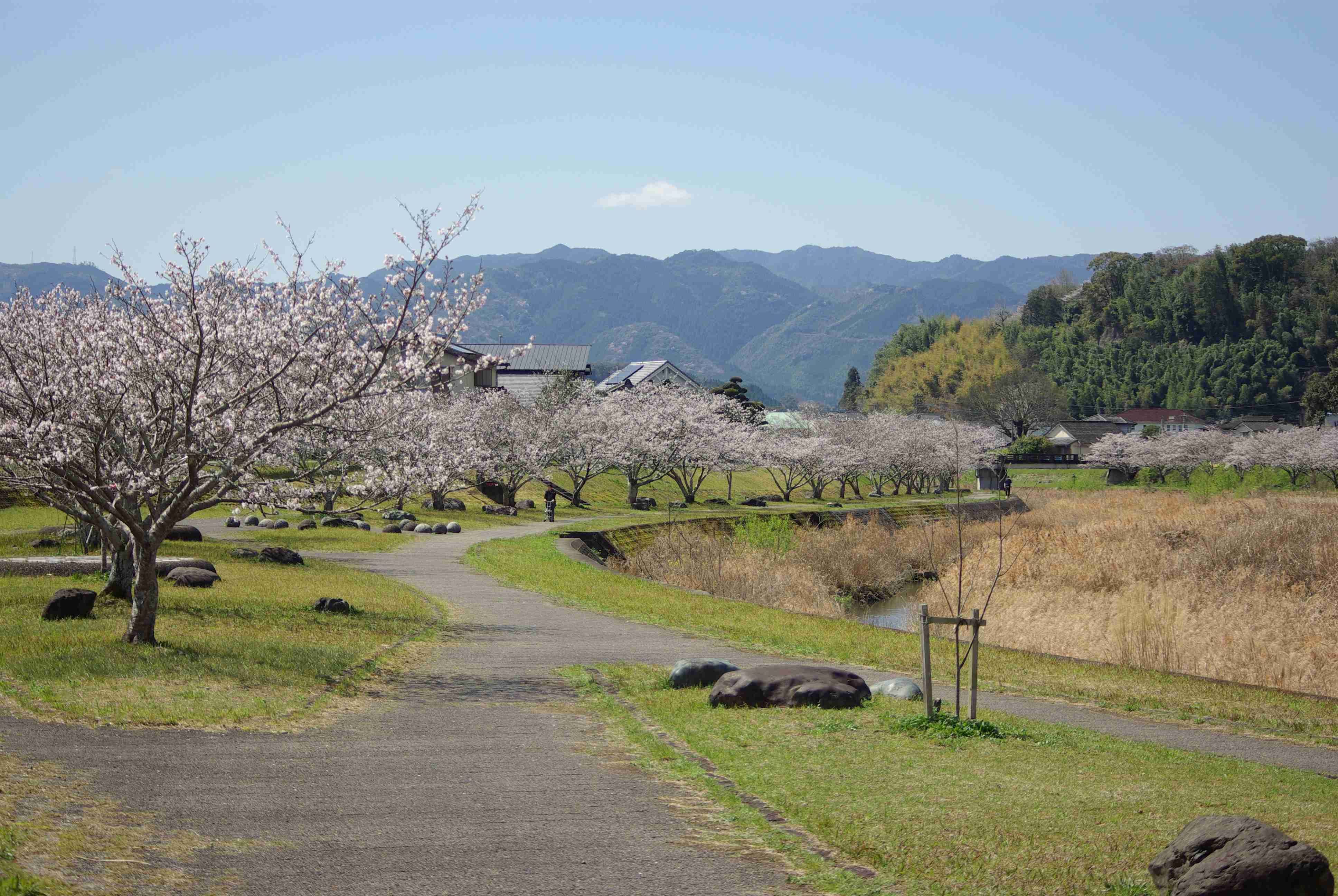東日本と西日本では「田舎」の感覚が違う？