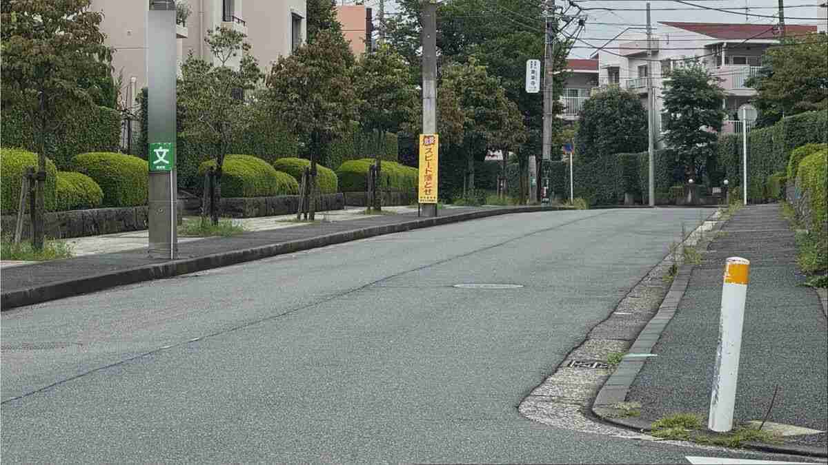 信号待ちの車に追突した後40メートルほどバックして自転車をはねる 自転車の男性は死亡　過失運転傷害の疑いで女（55）を現行犯逮捕　横浜市都筑区 | TBS NEWS DIG