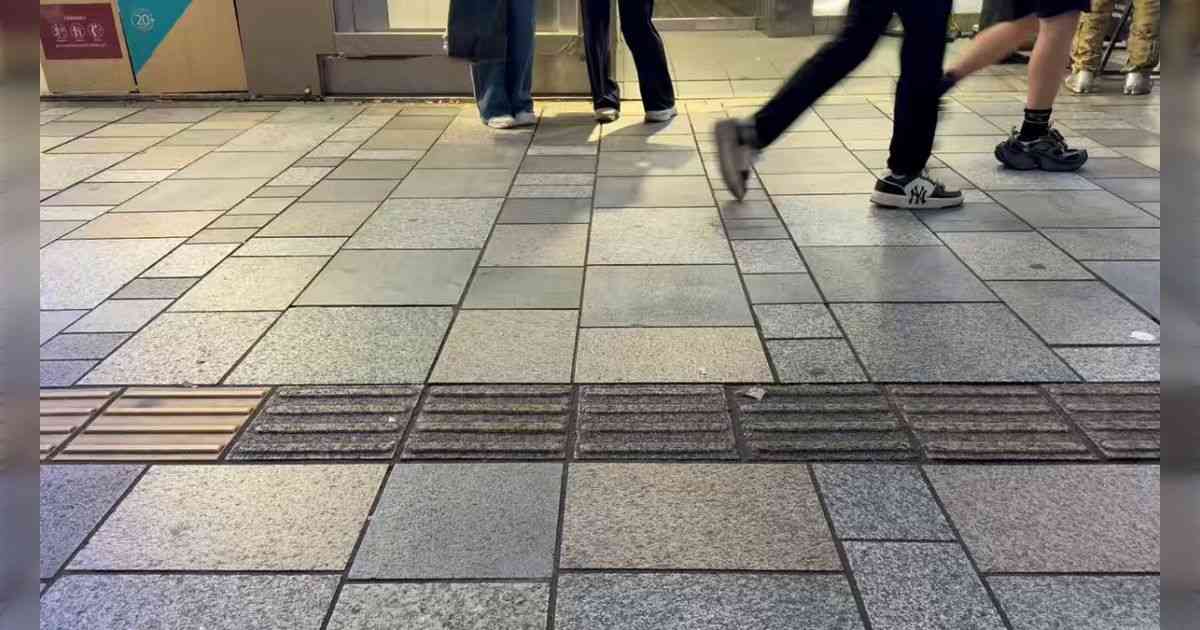 表参道のスニーカー事情を写した動画、突然とんでもない量のワンちゃんたちが出てきて、もはや靴はどうでも良くなった「予想よりも大群で最高だった」 - Togetter