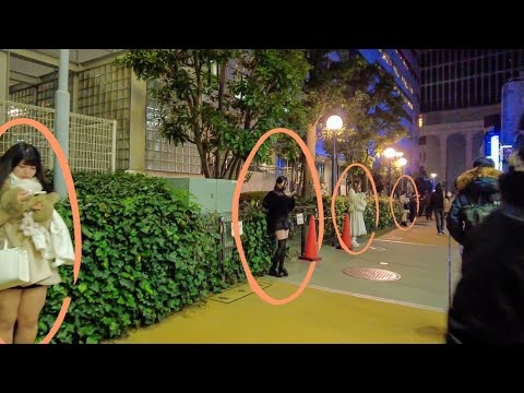 4K:新宿・歌舞伎町散歩｜大久保公園は早い時間ゆっくり選べます｜TOKYO WALK