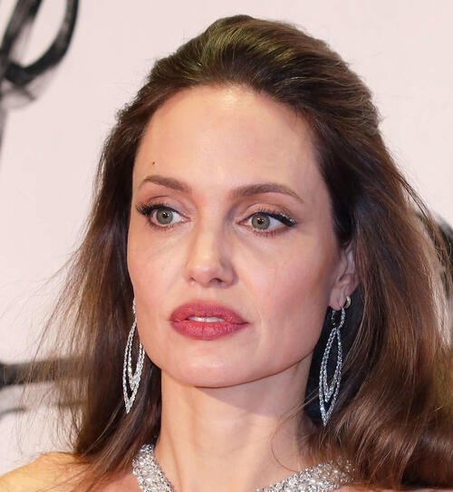 アンジェリーナ・ジョリー、ロス豪邸を売却　米国離れる準備着々 - ハリウッド : 日刊スポーツ