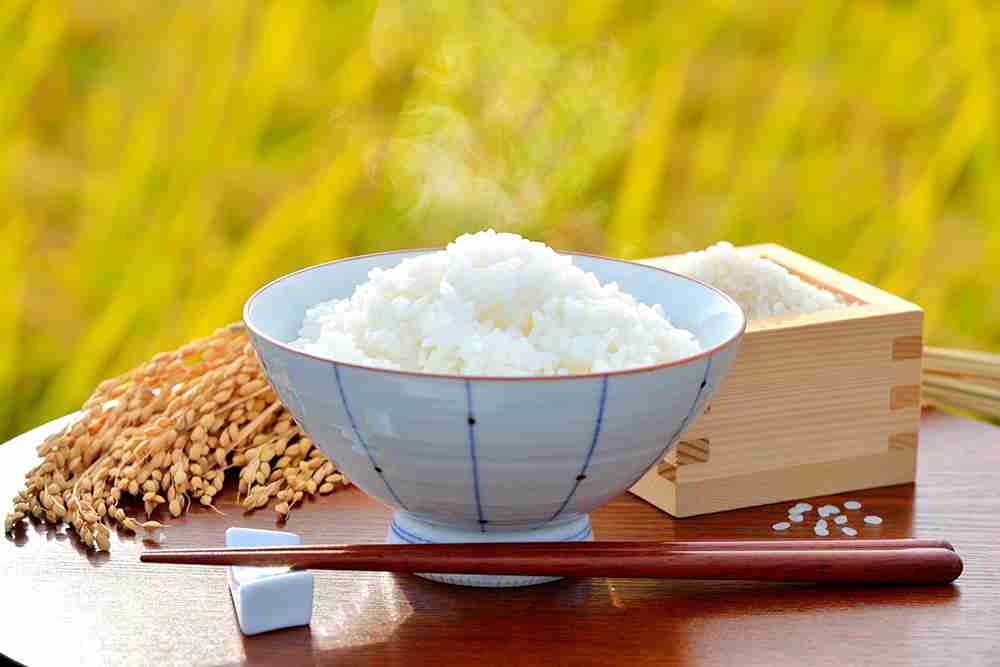 美味しかったお米の銘柄を挙げていこう
