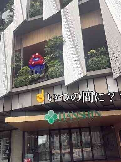 住んでいる地域がどんどん治安が悪くなってきている