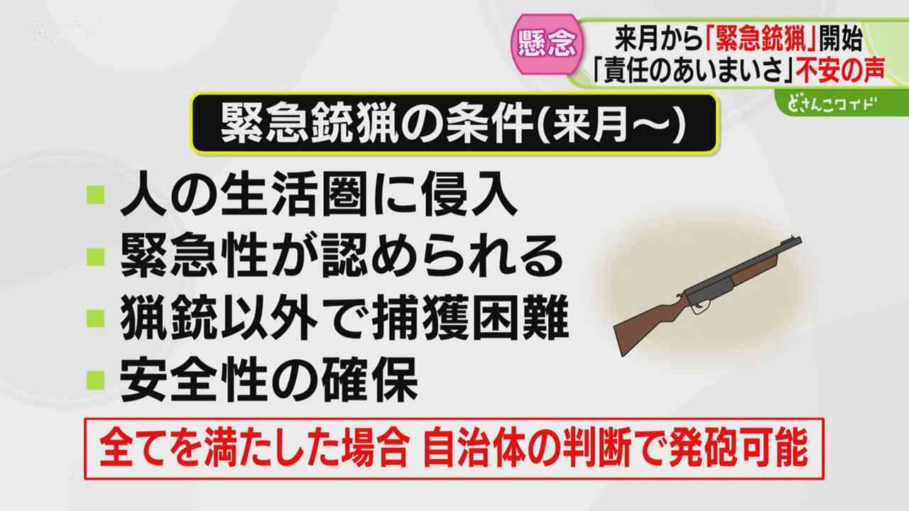 東京・八王子市でツキノワグマの緊急銃猟、都内で初 人的被害未然防止のため市長が承認