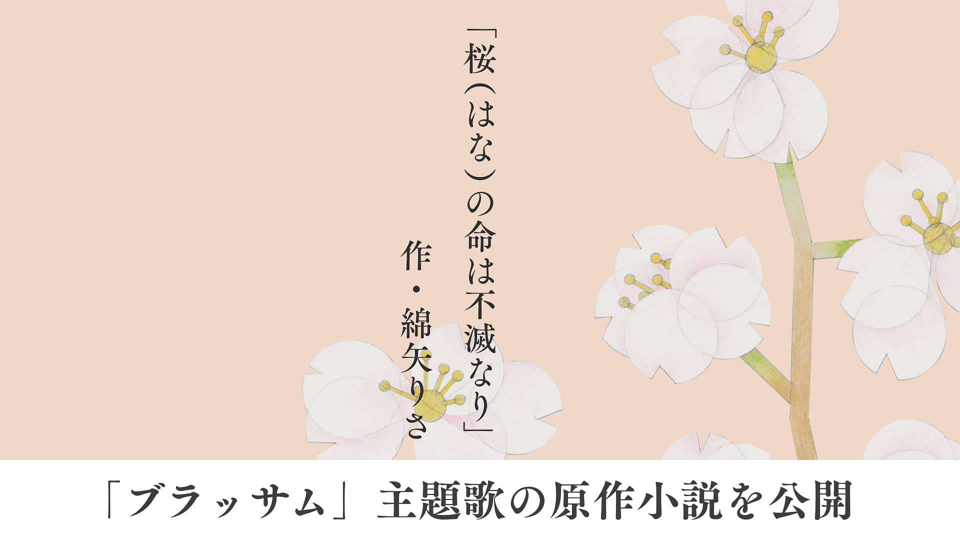 主題歌の原作小説（作・綿矢りさ）を公開／ブラッサム - 「ブラッサム」さまざまなトピックス - ブラッサム - NHK