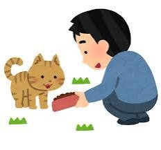 【疑問】野良猫に餌だけあげるのって、優しさなの?