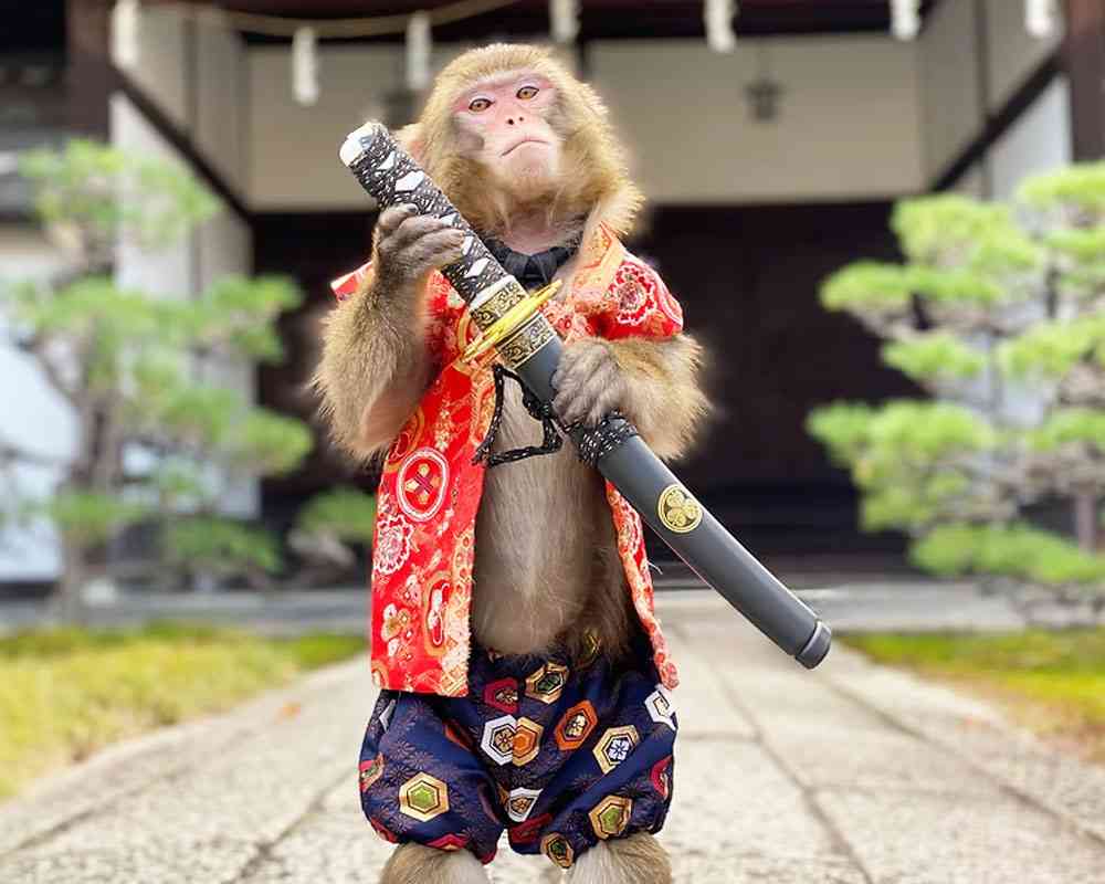 大道芸人へのチップはいくらが妥当？のサムネイル