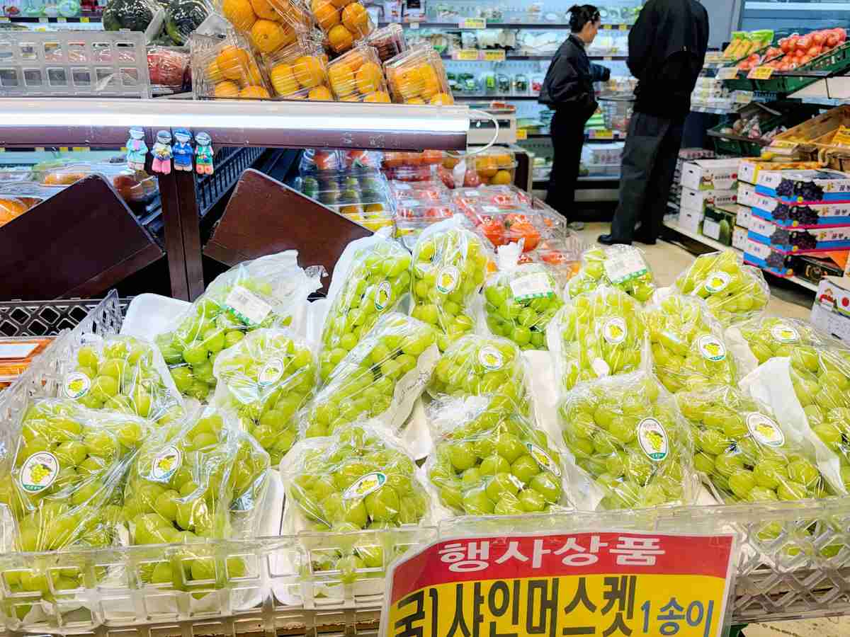 韓国のシャインマスカット価格急落　過剰生産でピーク比3分の1に｜【西日本新聞me】