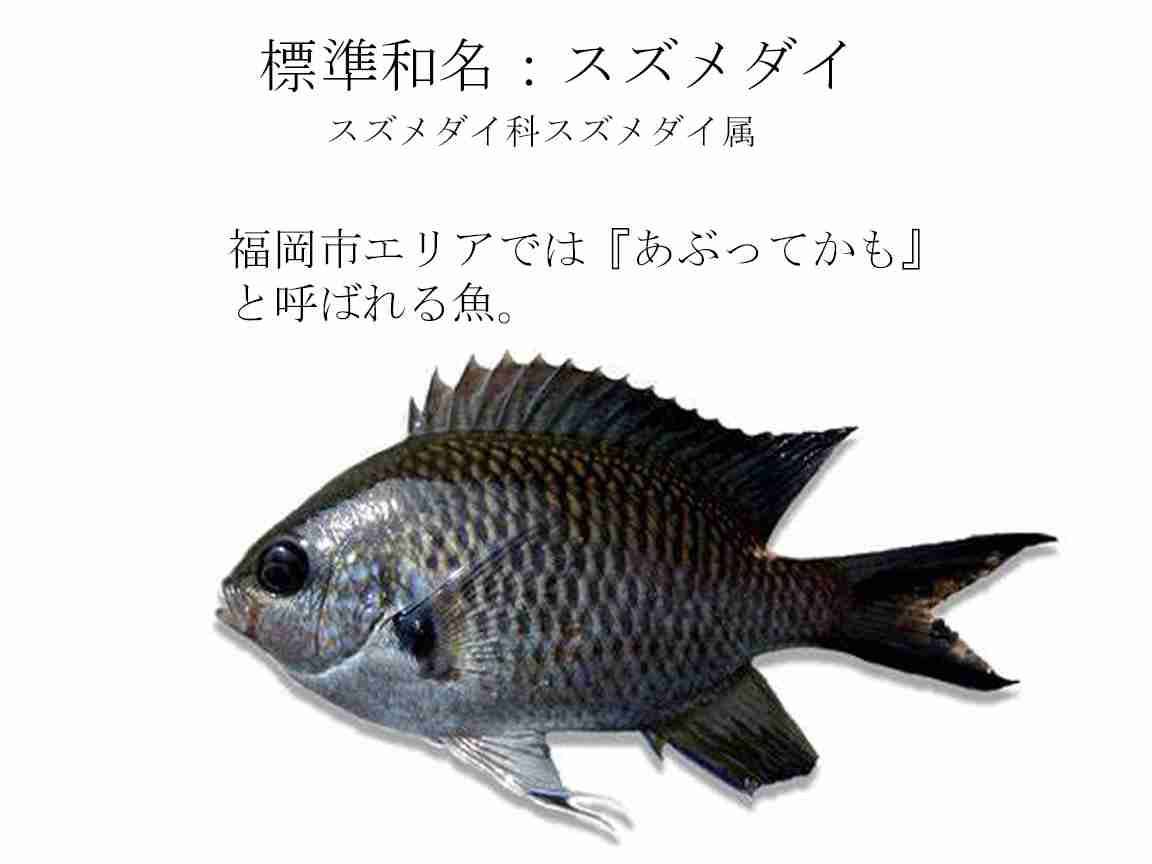地元民しか知らない、実は美味しい食べ物